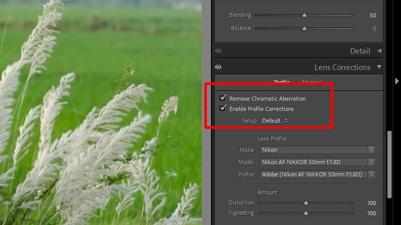 lens profile correction lightroom