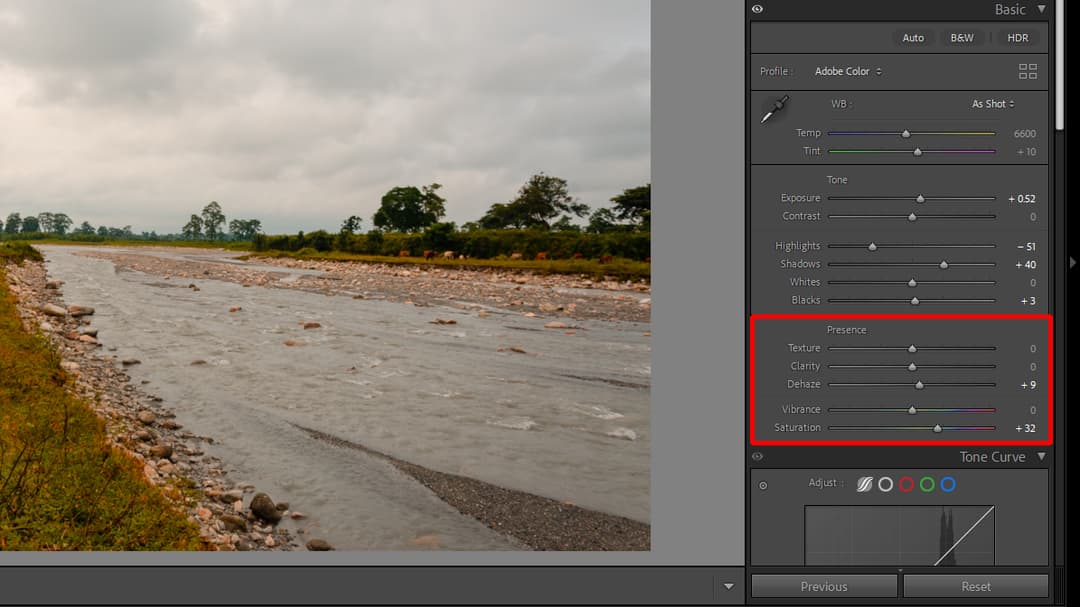 Lightroom Presence panel with the Dehaze and Saturation sliders highlighted