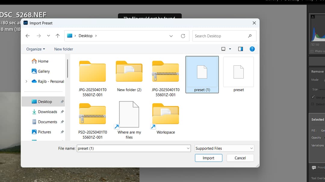 Importing lightroom presets
